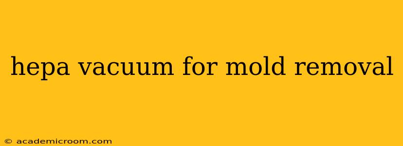 hepa vacuum for mold removal