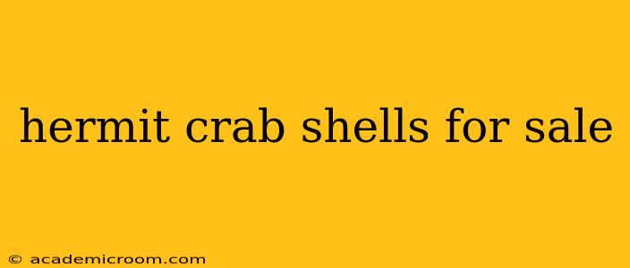 hermit crab shells for sale