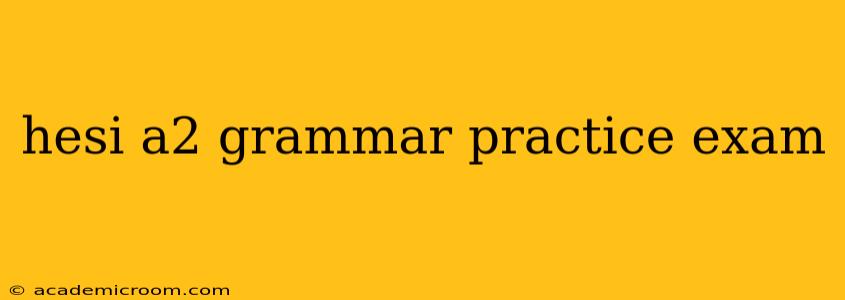 hesi a2 grammar practice exam