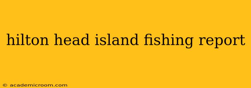 hilton head island fishing report