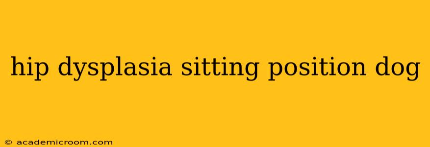 hip dysplasia sitting position dog