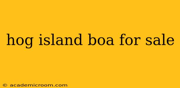 hog island boa for sale