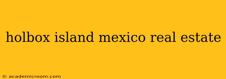 holbox island mexico real estate