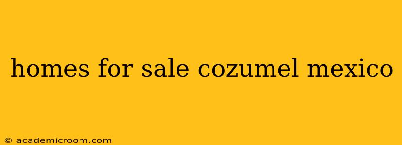 homes for sale cozumel mexico