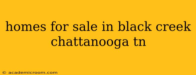 homes for sale in black creek chattanooga tn