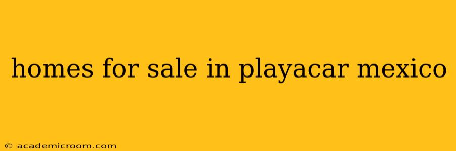 homes for sale in playacar mexico