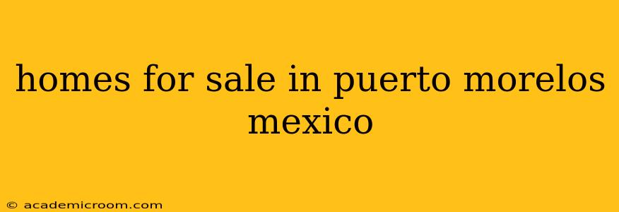 homes for sale in puerto morelos mexico