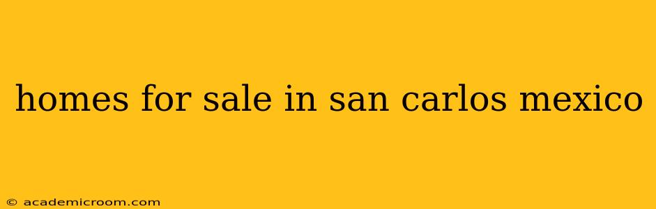homes for sale in san carlos mexico