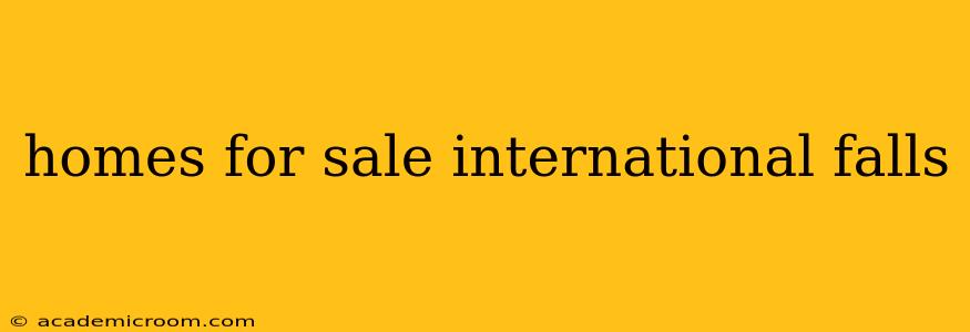 homes for sale international falls