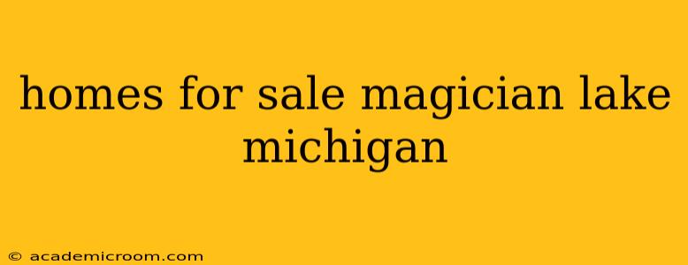 homes for sale magician lake michigan