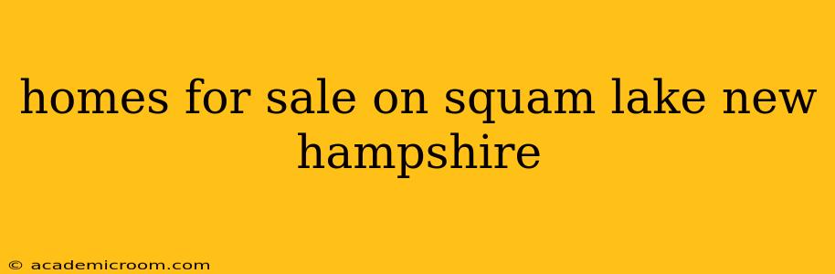 homes for sale on squam lake new hampshire