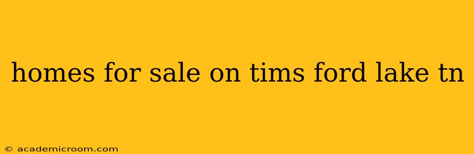 homes for sale on tims ford lake tn