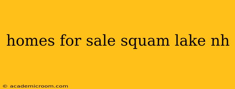 homes for sale squam lake nh