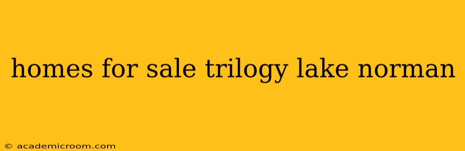 homes for sale trilogy lake norman