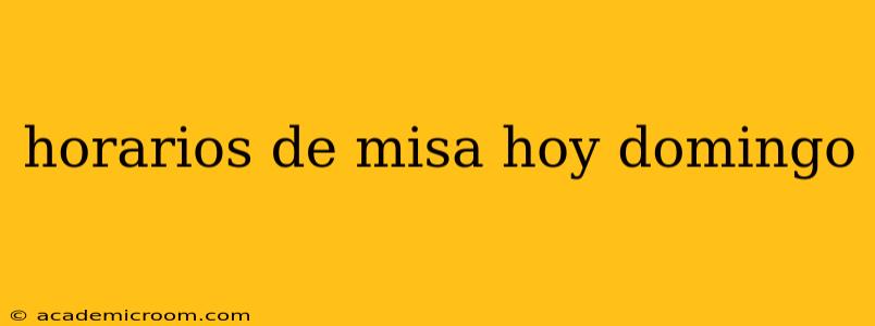 horarios de misa hoy domingo