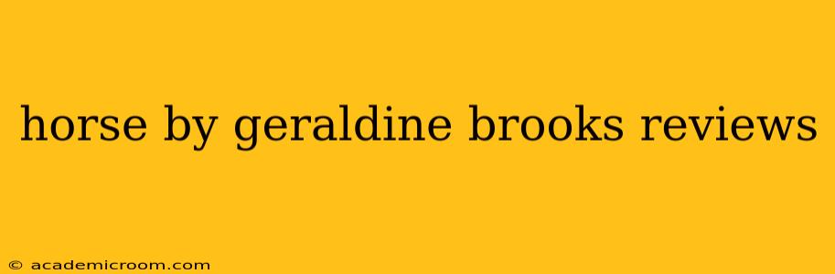 horse by geraldine brooks reviews