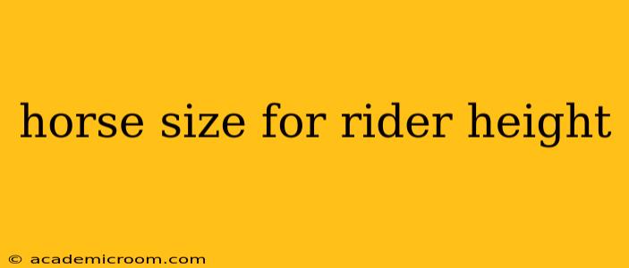 horse size for rider height