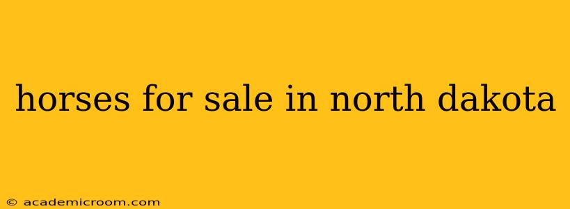 horses for sale in north dakota