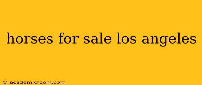 horses for sale los angeles