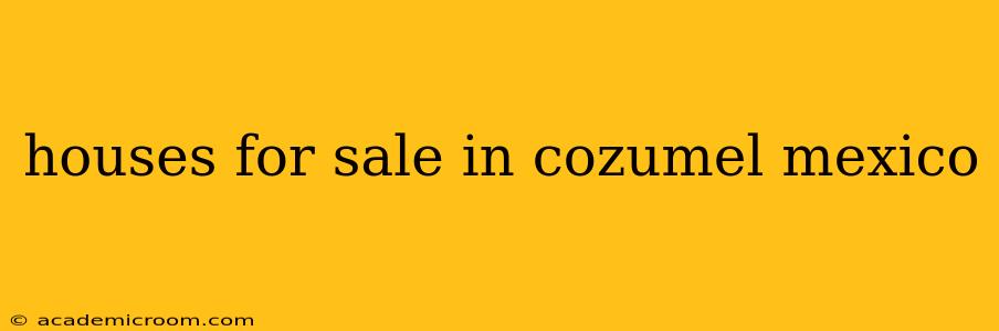 houses for sale in cozumel mexico