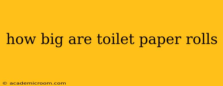 how big are toilet paper rolls