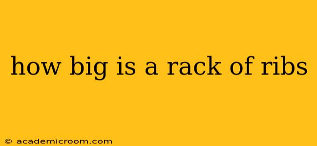how big is a rack of ribs
