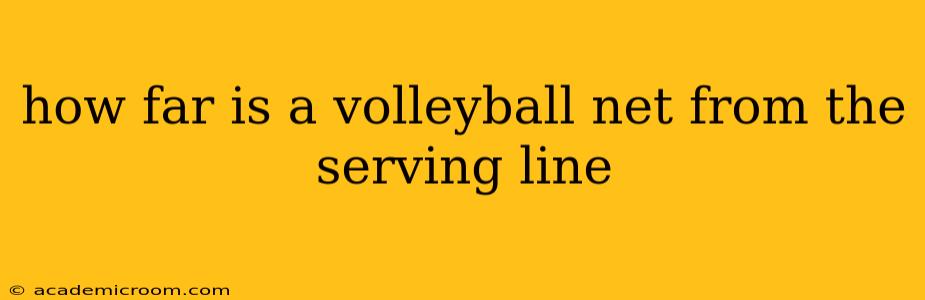 how far is a volleyball net from the serving line