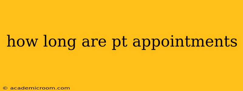 how long are pt appointments
