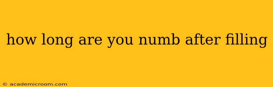 how long are you numb after filling