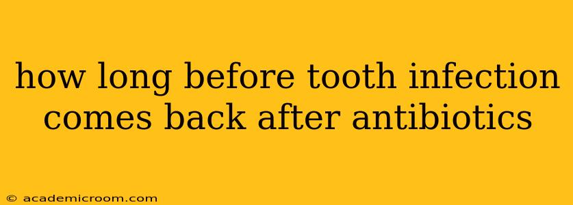how long before tooth infection comes back after antibiotics