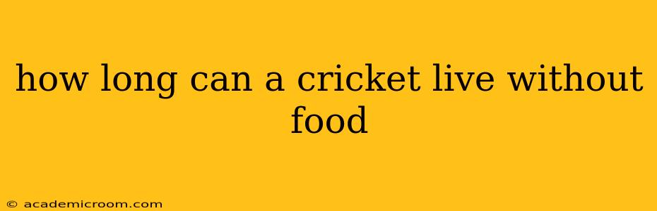 how long can a cricket live without food