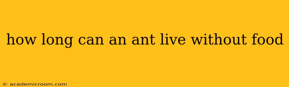 how long can an ant live without food