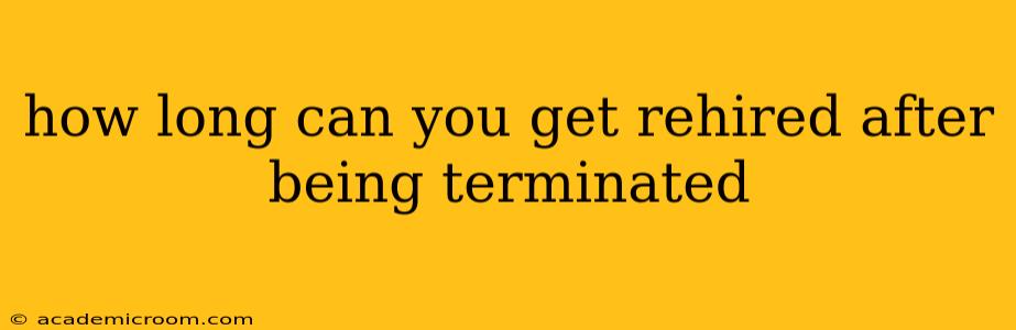 how long can you get rehired after being terminated