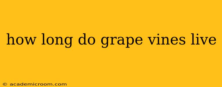 how long do grape vines live
