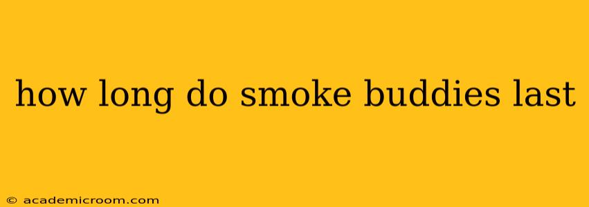 how long do smoke buddies last