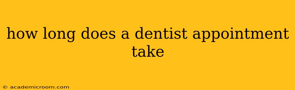 how long does a dentist appointment take
