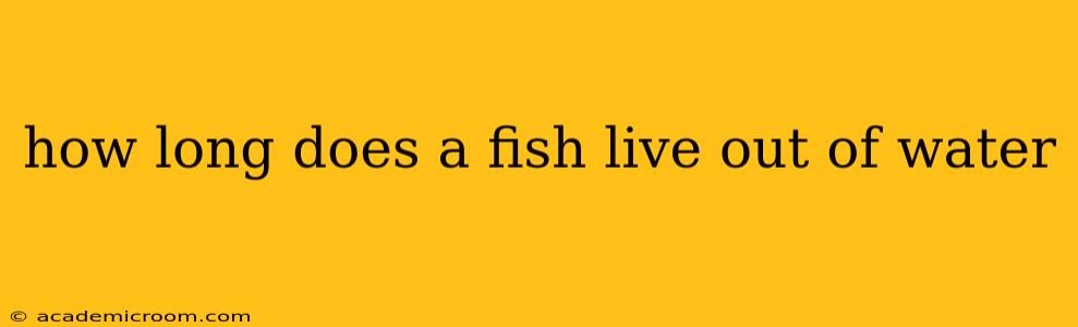 how long does a fish live out of water