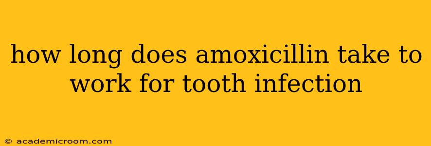 how long does amoxicillin take to work for tooth infection