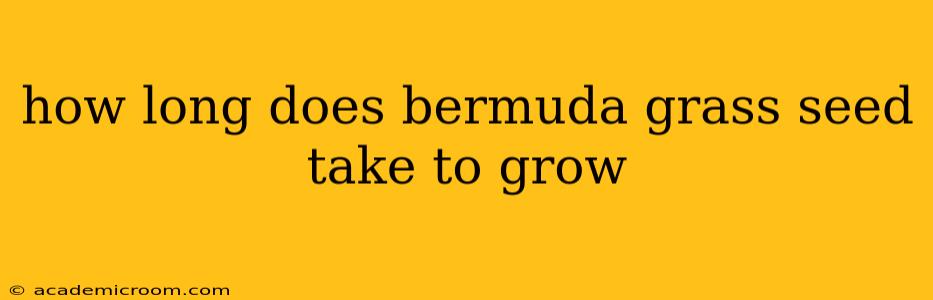 how long does bermuda grass seed take to grow
