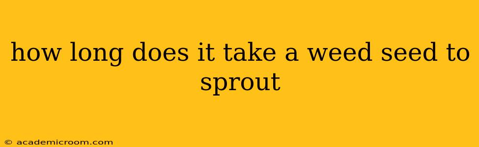 how long does it take a weed seed to sprout