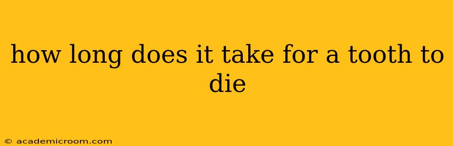 how long does it take for a tooth to die