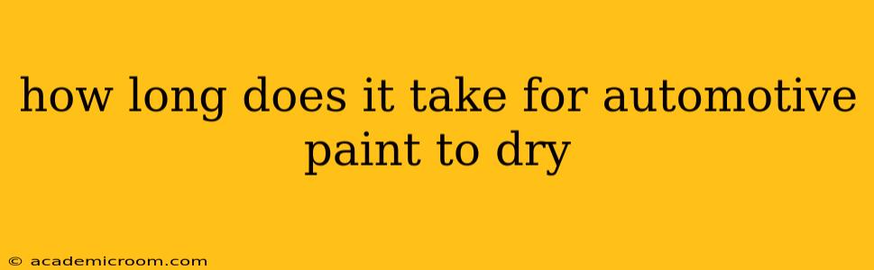 how long does it take for automotive paint to dry