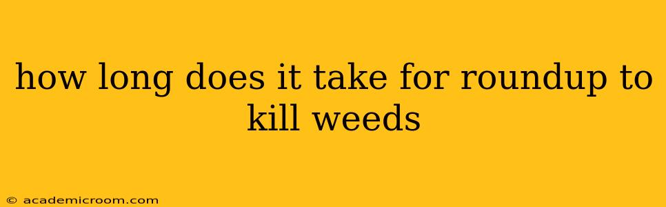 how long does it take for roundup to kill weeds