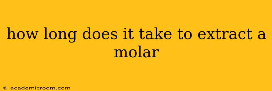 how long does it take to extract a molar
