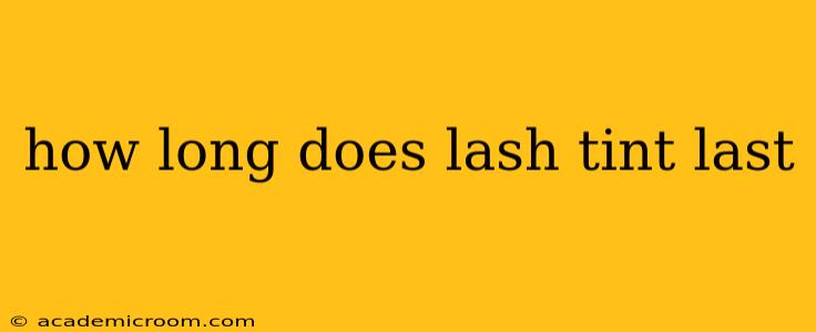 how long does lash tint last