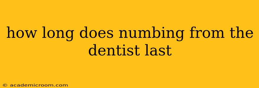 how long does numbing from the dentist last