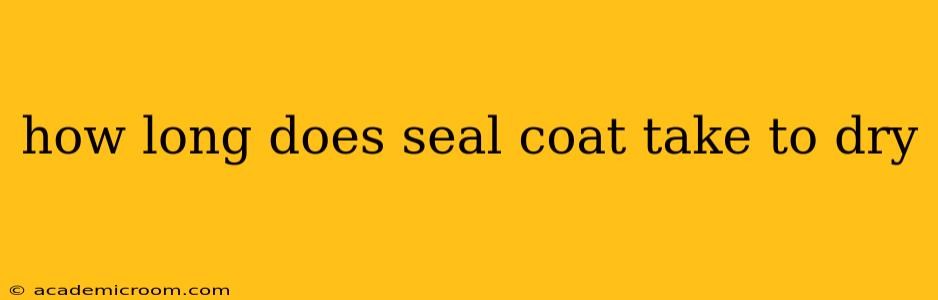how long does seal coat take to dry