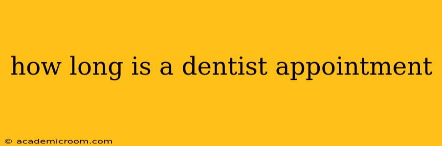 how long is a dentist appointment