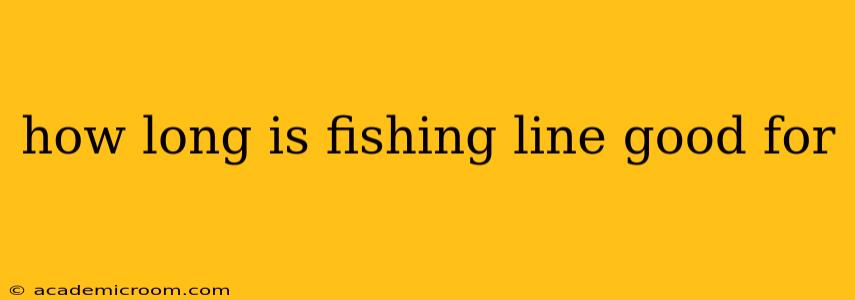 how long is fishing line good for