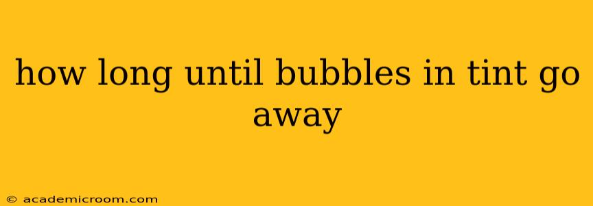 how long until bubbles in tint go away